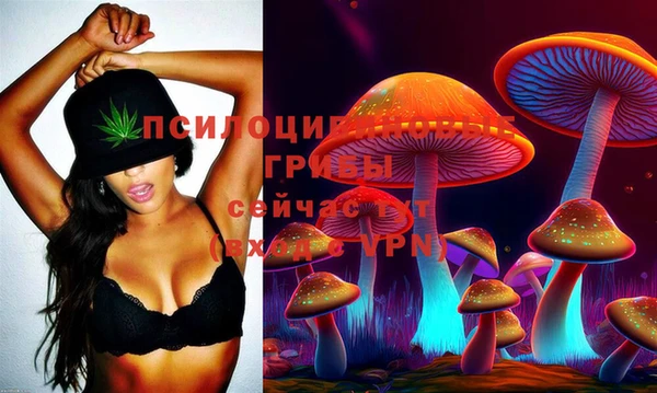 марки lsd Белокуриха